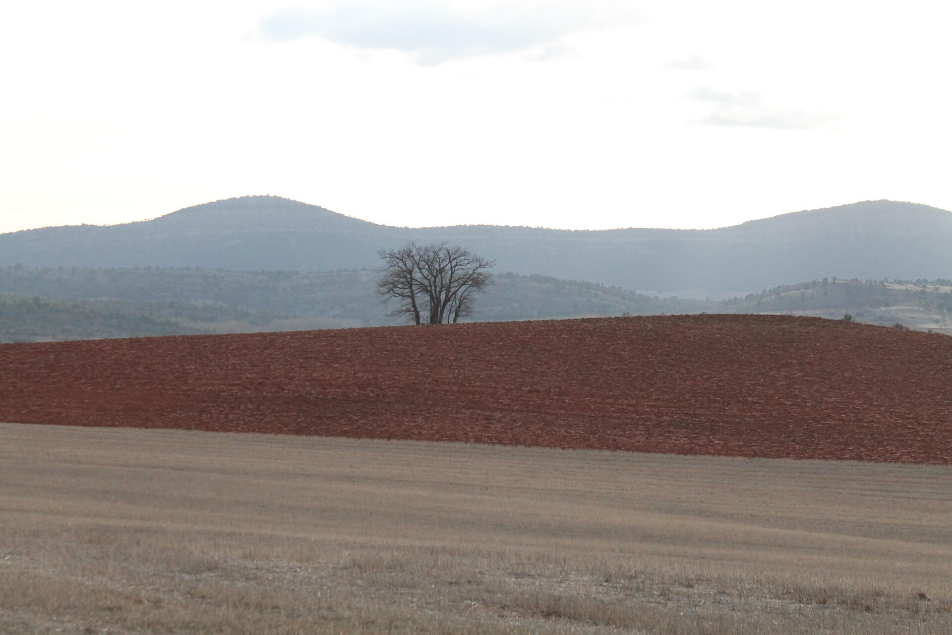 Colores de Invierno